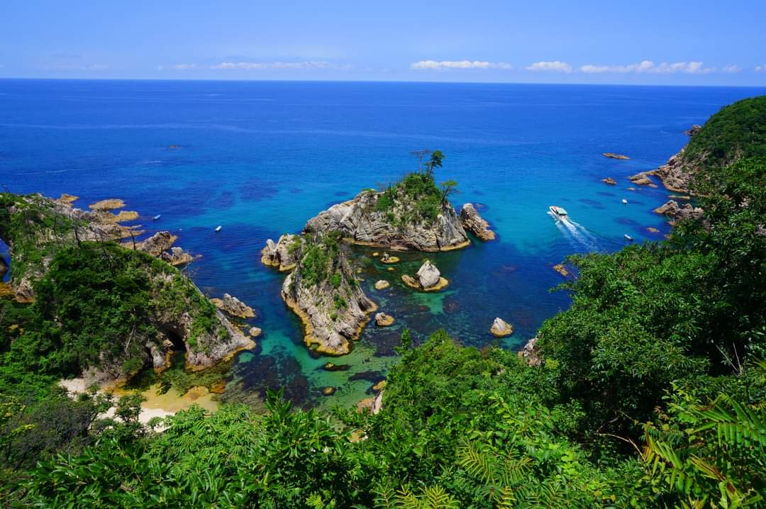 うらどめかいがん